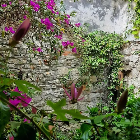 Apartmán Grisia 26 *